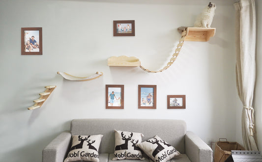 The Benefits of a Wall-Mounted Cat Climbing Frame with a Hammock