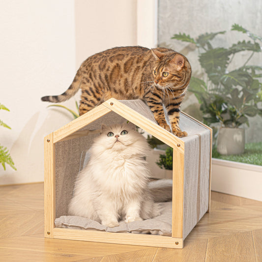 Creating a Cozy Cat Corner with Pawclap Products