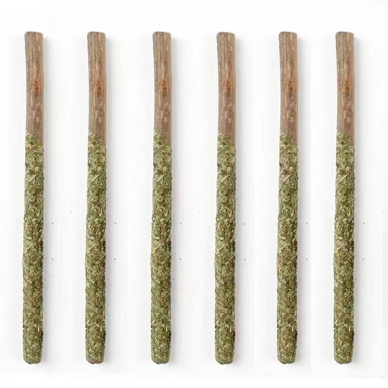 Catmint Sticks for Cats - Natural and Organic Dental Treats