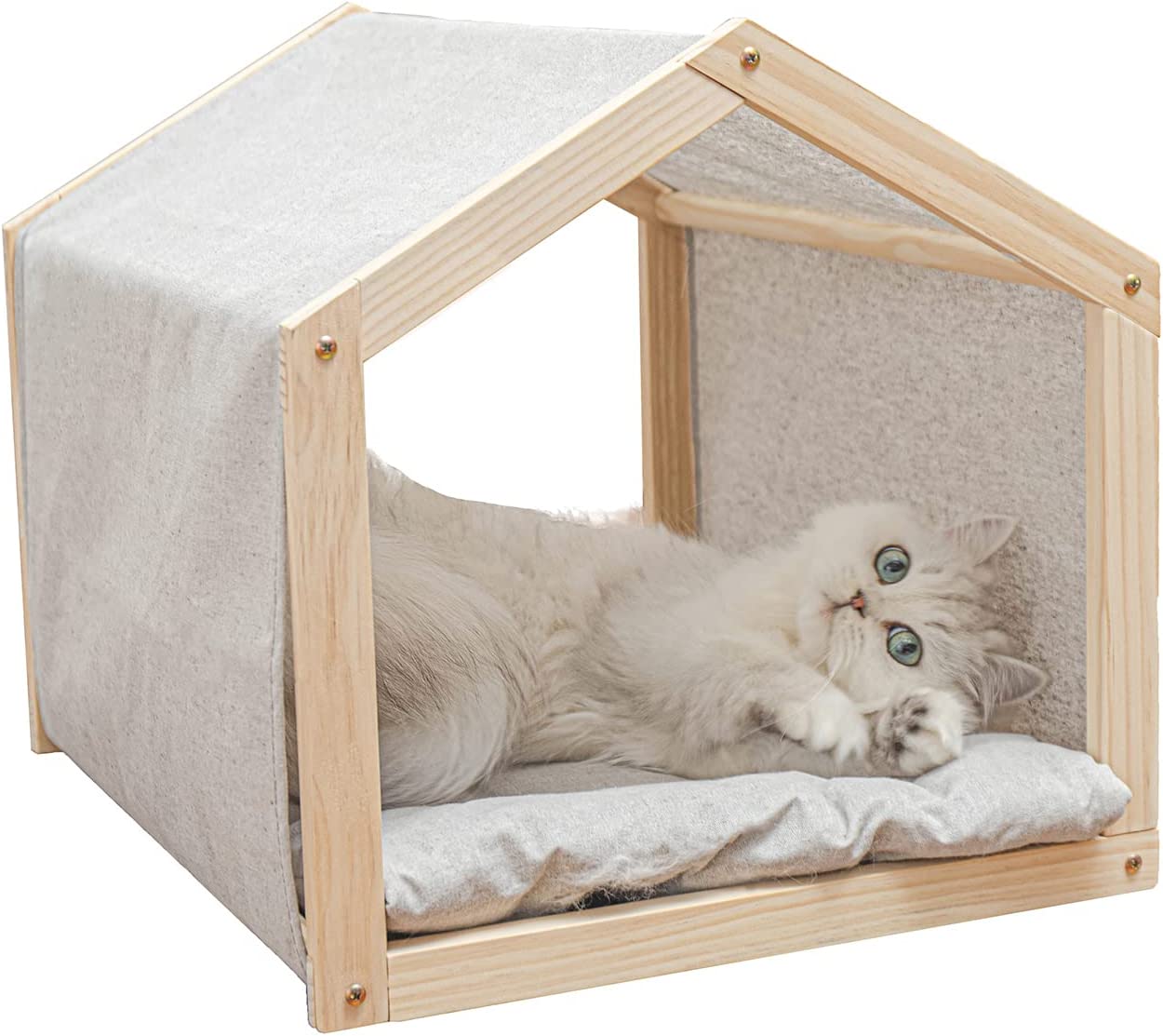 Cat House with Mat Indoor Cat Condo