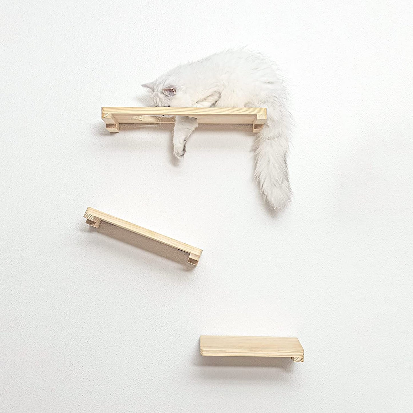 Cat Activity Wall Shelves