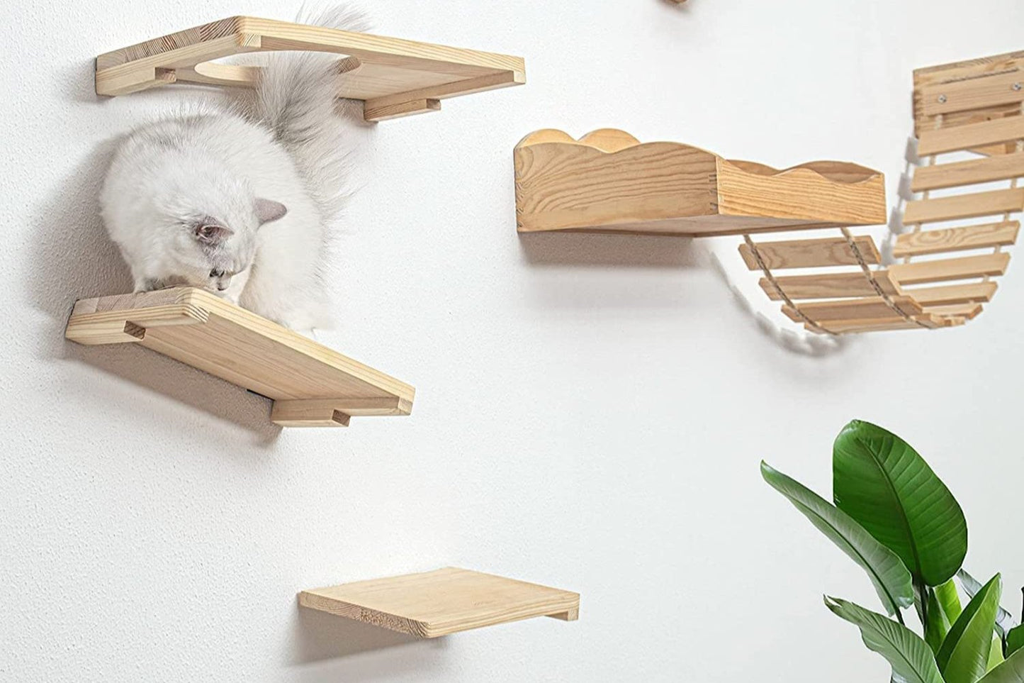 Cat Activity Wall Shelves