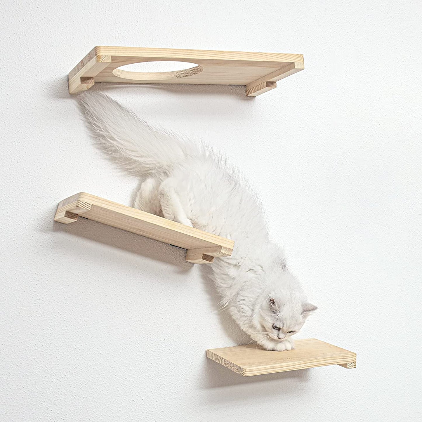 Cat Activity Wall Shelves