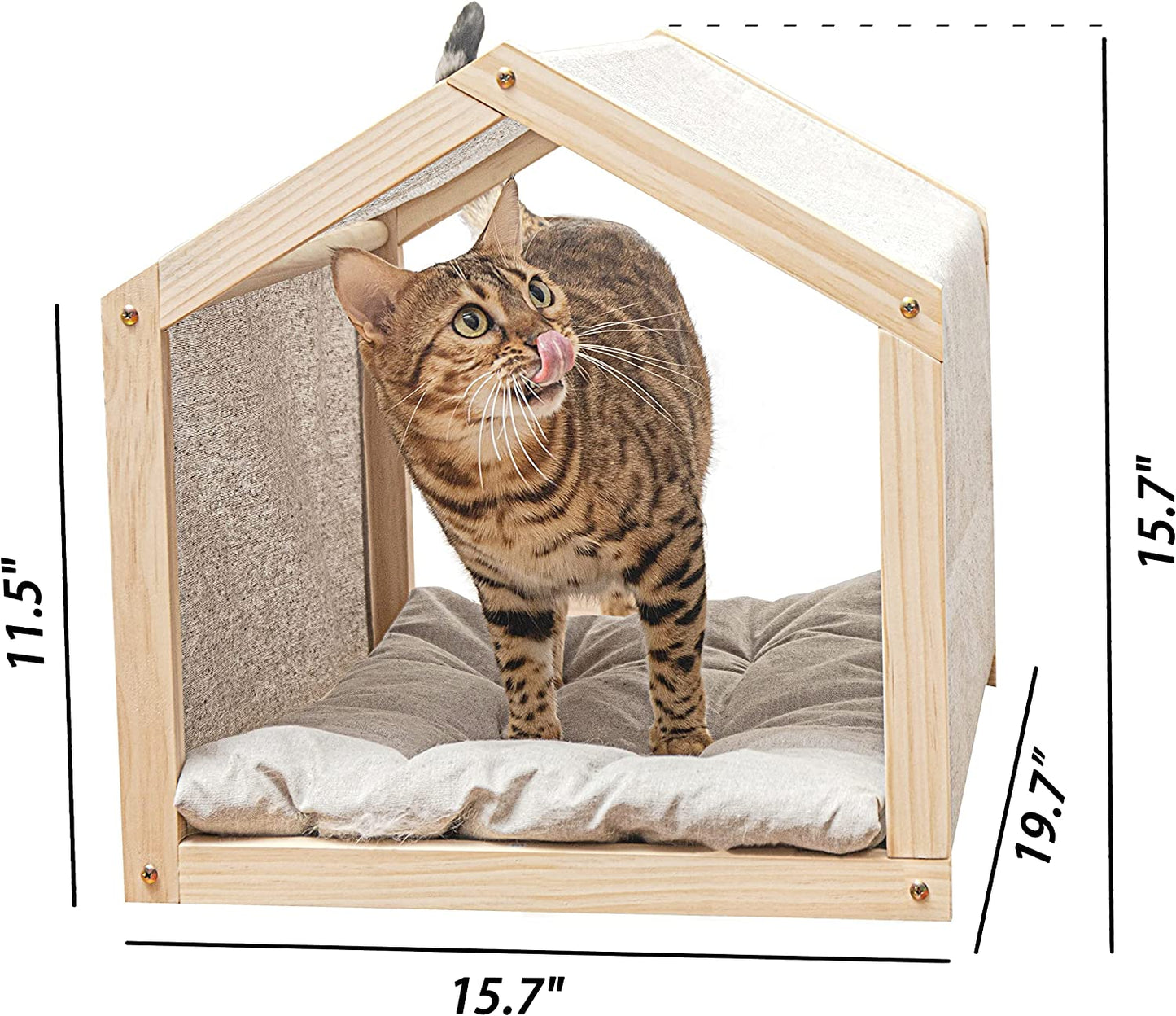Cat House with Mat Indoor Cat Condo