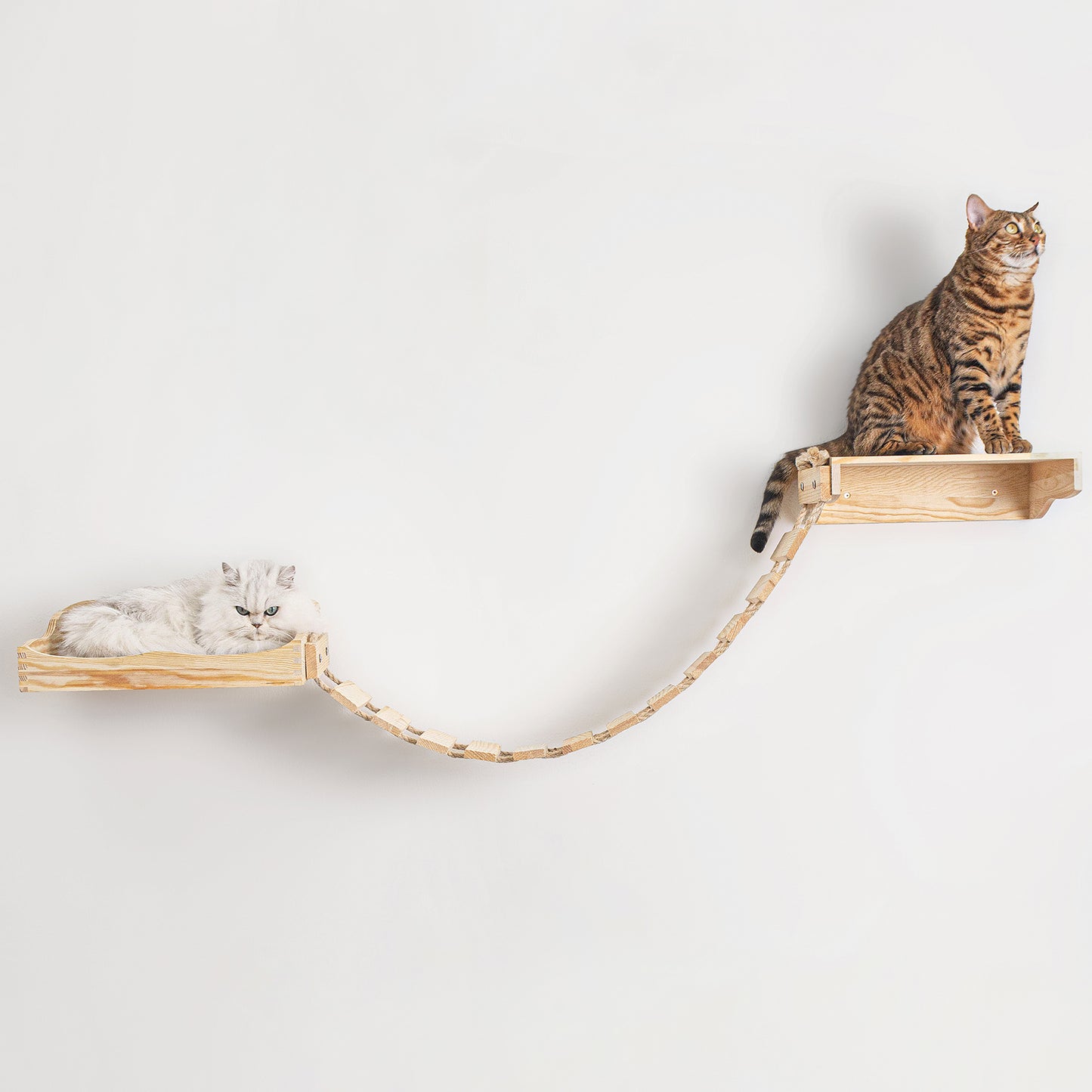 Wall-Mounted Cat Shelf Sets