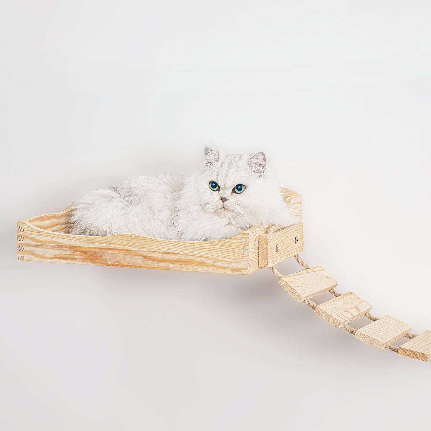 Wall-Mounted Cat Shelf Sets