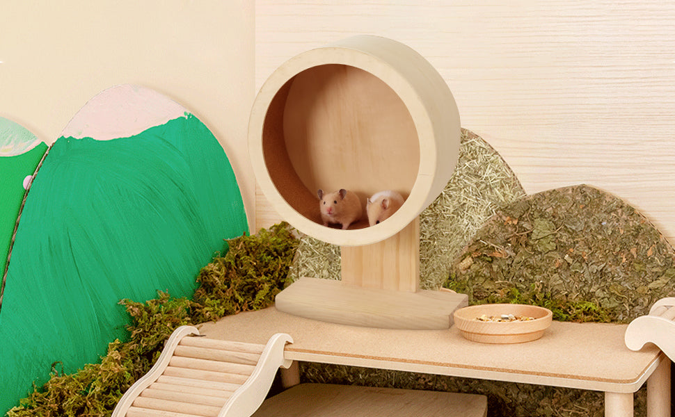 Hamster Exercise Wheel