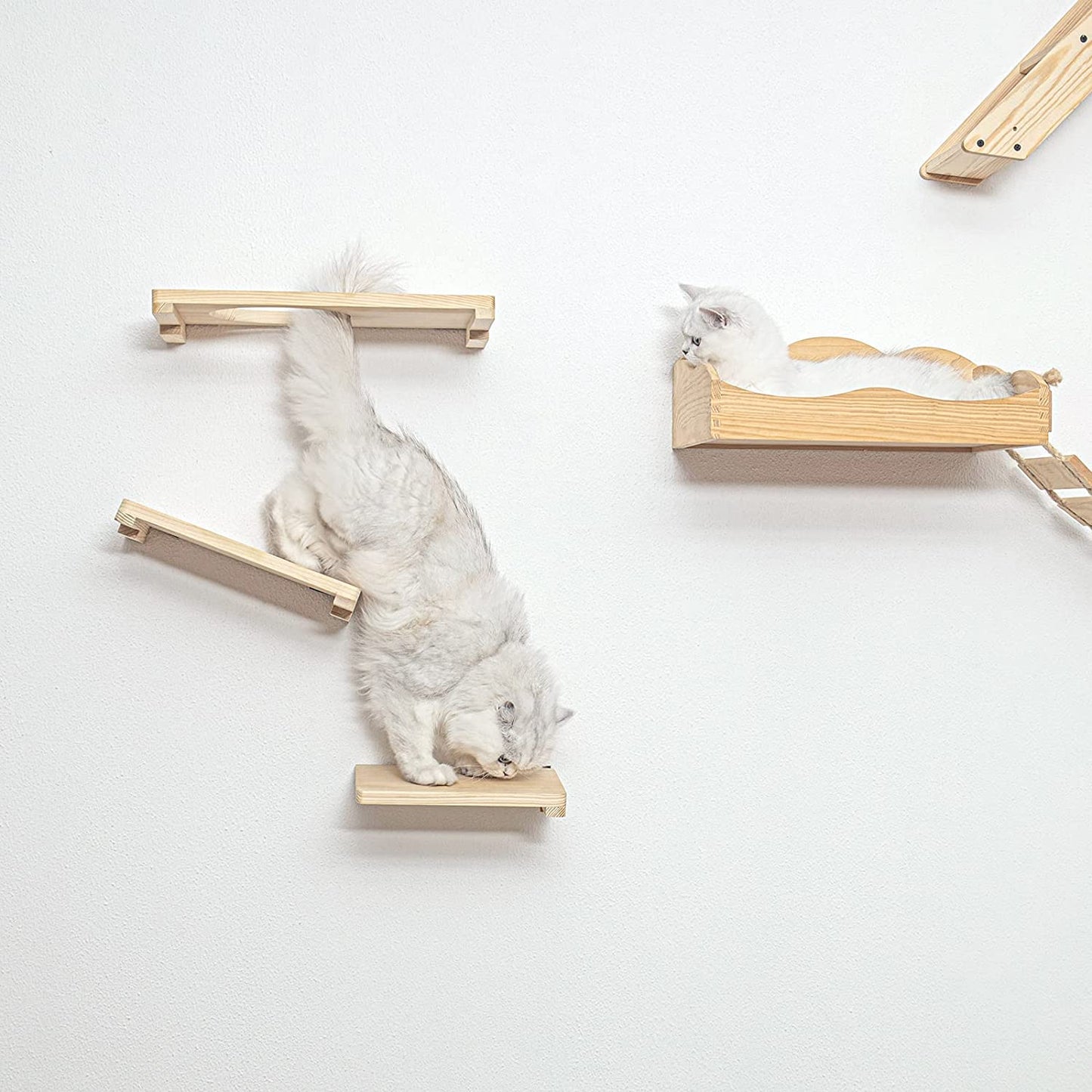 Cat Activity Wall Shelves